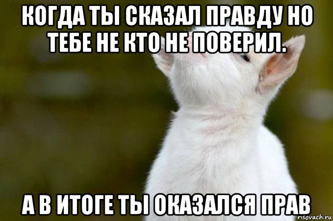 когда ты сказал правду но тебе не кто не поверил. а в итоге ты оказался прав, Мем  Гордый козленок