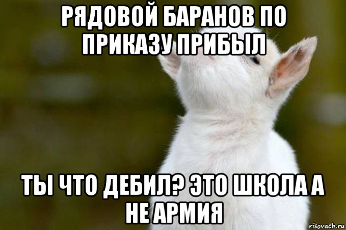 рядовой баранов по приказу прибыл ты что дебил? это школа а не армия, Мем  Гордый козленок