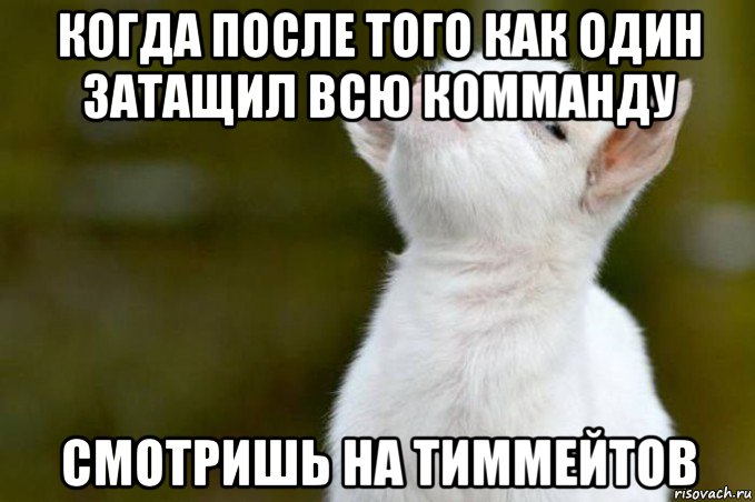 когда после того как один затащил всю комманду смотришь на тиммейтов, Мем  Гордый козленок