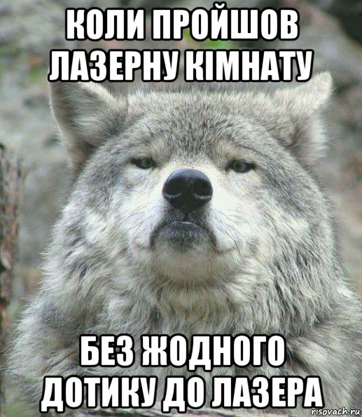 коли пройшов лазерну кімнату без жодного дотику до лазера, Мем    Гордый волк