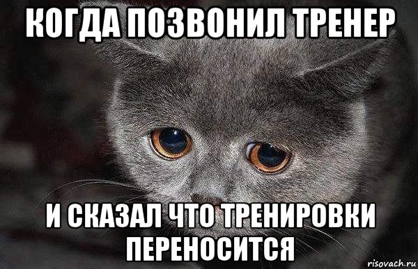 когда позвонил тренер и сказал что тренировки переносится, Мем  Грустный кот