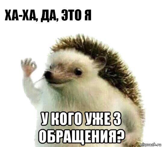  у кого уже 3 обращения?