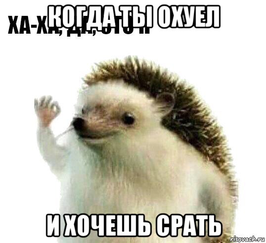 когда ты охуел и хочешь срать