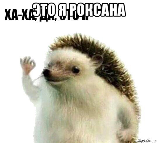 это я роксана , Мем Ха-ха да это я