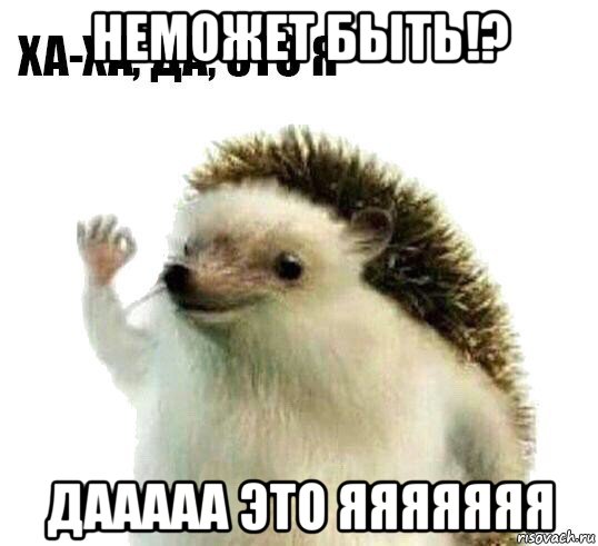 неможет быть!? дааааа это яяяяяяя, Мем Ха-ха да это я