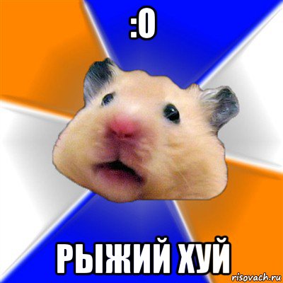 :o рыжий хуй