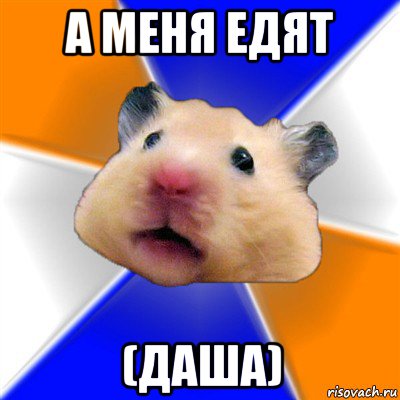 а меня едят (даша)