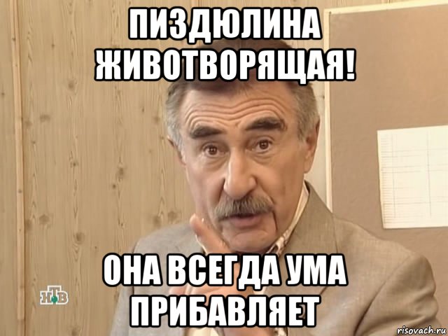 пиздюлина животворящая! она всегда ума прибавляет, Мем Каневский (Но это уже совсем другая история)