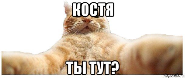 костя ты тут?, Мем   Кэтсвилл