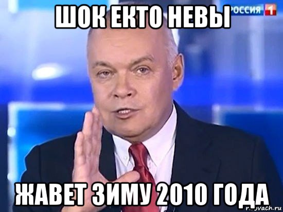 шок екто невы жавет зиму 2010 года, Мем Киселёв 2014