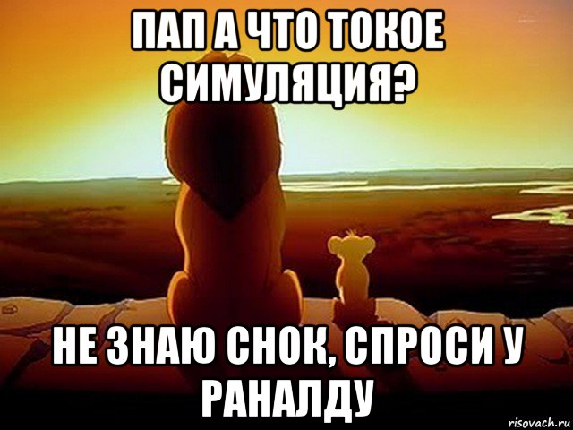 пап а что токое симуляция? не знаю снок, спроси у раналду, Мем  король лев