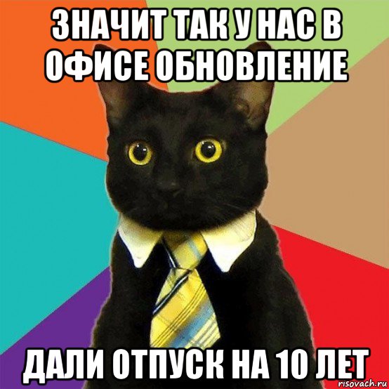 значит так у нас в офисе обновление дали отпуск на 10 лет, Мем  Кошечка