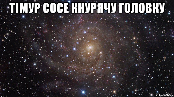 тімур сосе кнурячу головку 