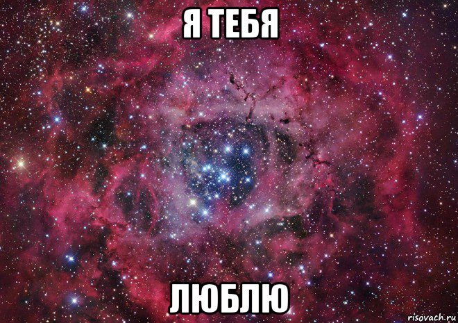 я тебя люблю