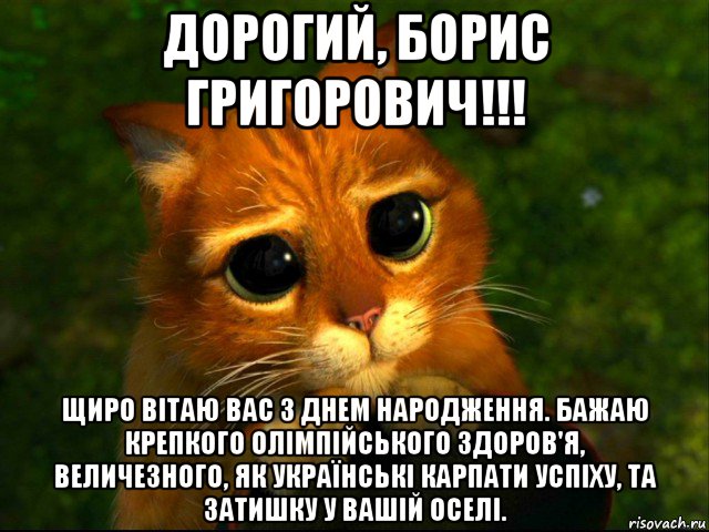 дорогий, борис григорович!!! щиро вітаю вас з днем народження. бажаю крепкого олімпійського здоров'я, величезного, як українські карпати успіху, та затишку у вашій оселі., Мем кот из шрека