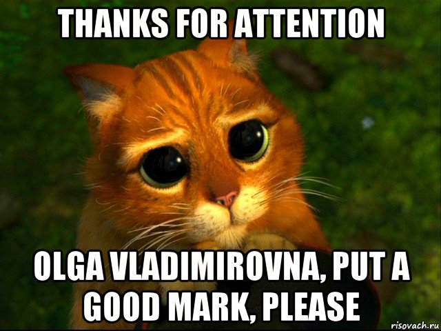 thanks for attention olga vladimirovna, put a good mark, please, Мем кот из шрека