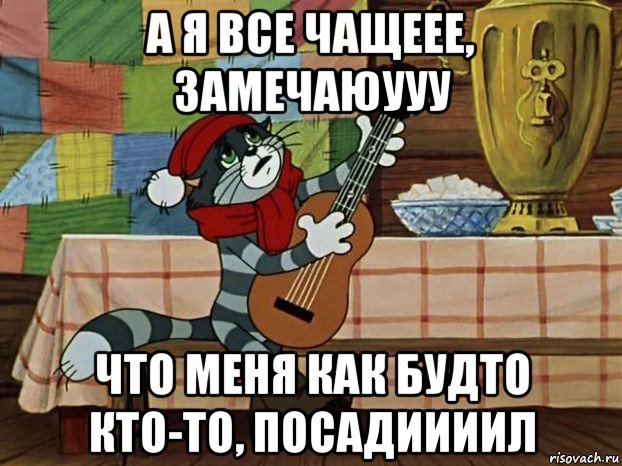 а я все чащеее, замечаюууу что меня как будто кто-то, посадиииил, Мем Кот Матроскин с гитарой