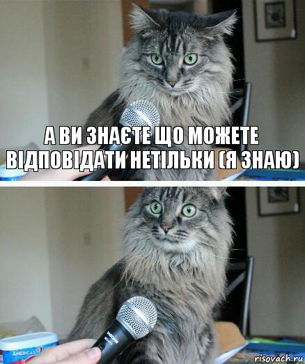 а ви знаєте що можете відповідати нетільки (Я знаю) , Комикс  кот с микрофоном