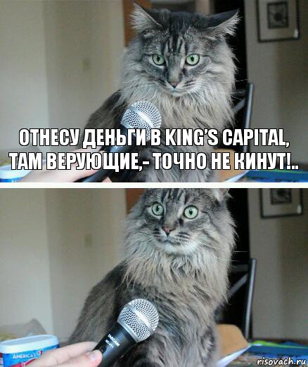 Отнесу деньги в King’s Capital, там верующие,- точно не кинут!.. , Комикс  кот с микрофоном