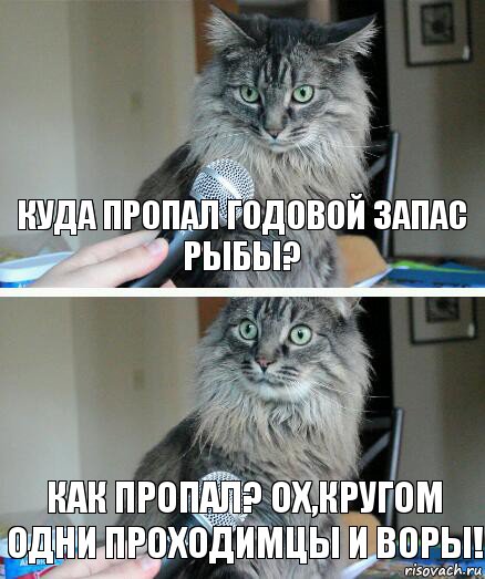 Куда пропал годовой запас рыбы? Как пропал? Ох,кругом одни проходимцы и воры!, Комикс  кот с микрофоном