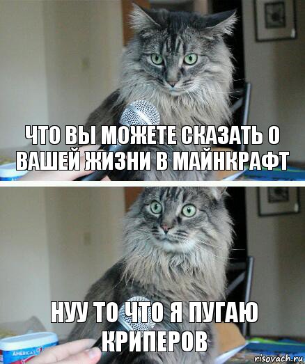 Что вы можете сказать о вашей жизни в майнкрафт Нуу то что я пугаю криперов, Комикс  кот с микрофоном