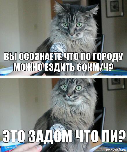 вы осознаете что по городу можно ездить 60км/ч? это задом что ли?, Комикс  кот с микрофоном