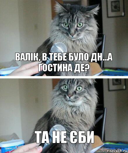 Валік, в тебе було ДН...а гостина де? Та не єби, Комикс  кот с микрофоном