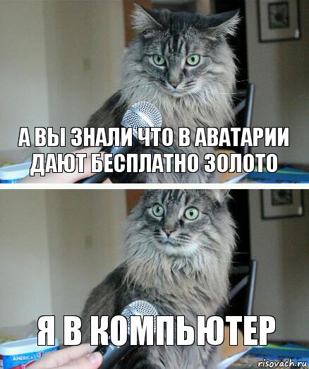 а вы знали что в аватарии дают бесплатно золото я в компьютер, Комикс  кот с микрофоном