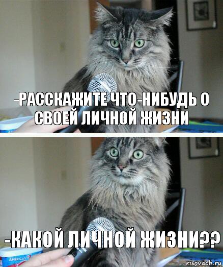 -Расскажите что-нибудь о своей личной жизни -Какой личной жизни??, Комикс  кот с микрофоном