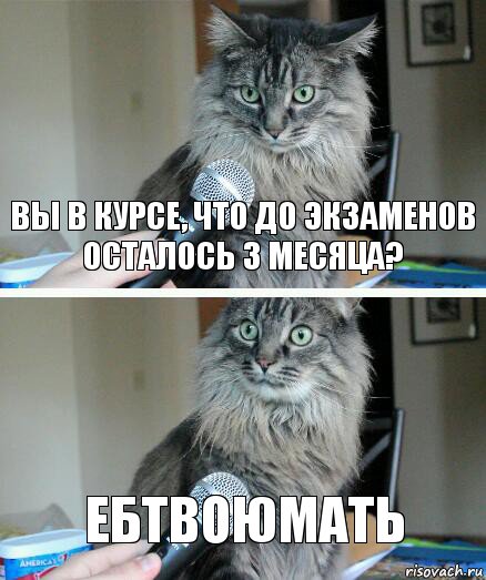 Вы в курсе, что до экзаменов осталось 3 месяца? ЕБТВОЮМАТЬ, Комикс  кот с микрофоном