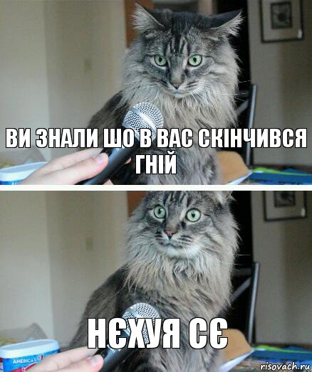 ВИ ЗНАЛИ ШО В ВАС СКІНЧИВСЯ ГНІЙ НЄХУЯ СЄ, Комикс  кот с микрофоном