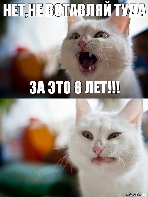 Нет,не вставляй туда За это 8 лет!!!, Комикс   Котэ предупреждал