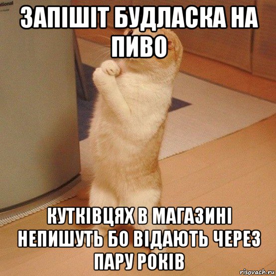 запішіт будласка на пиво кутківцях в магазині непишуть бо відають через пару років, Мем  котэ молится