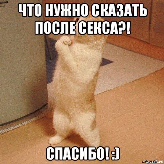 что нужно сказать после секса?! спасибо! :), Мем  котэ молится