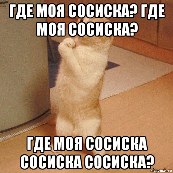 где моя сосиска? где моя сосиска? где моя сосиска сосиска сосиска?, Мем  котэ молится