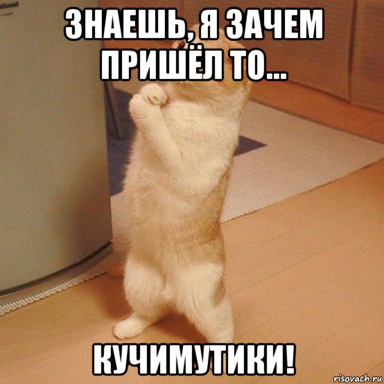 знаешь, я зачем пришёл то... кучимутики!