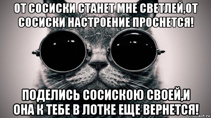 от сосиски станет мне светлей,от сосиски настроение проснется! поделись сосискою своей,и она к тебе в лотке еще вернется!, Мем Котоматрица