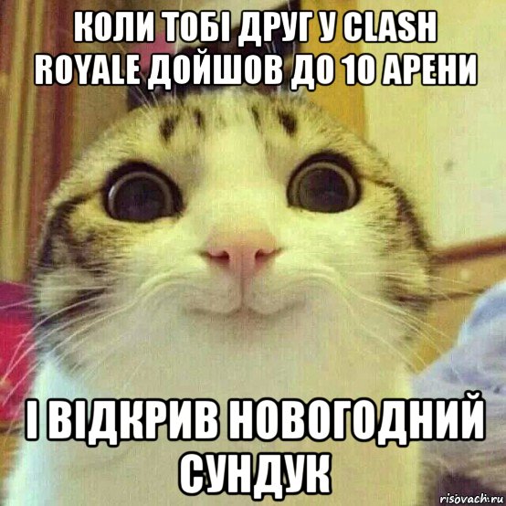 коли тобі друг у clash royale дойшов до 10 арени і відкрив новогодний сундук, Мем       Котяка-улыбака