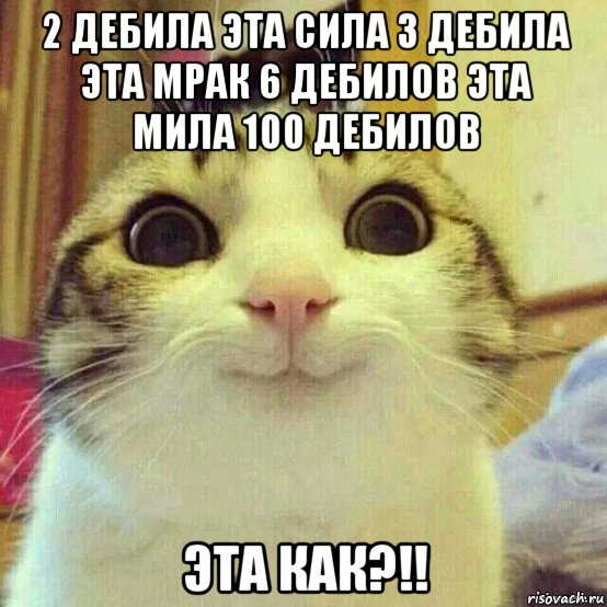 2 дебила эта сила 3 дебила эта мрак 6 дебилов эта мила 100 дебилов эта как?!!, Мем       Котяка-улыбака