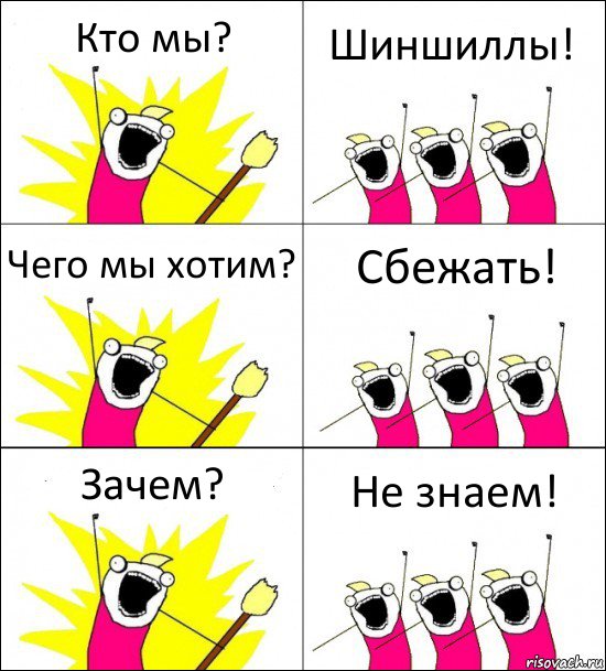 Кто мы? Шиншиллы! Чего мы хотим? Сбежать! Зачем? Не знаем!, Комикс кто мы