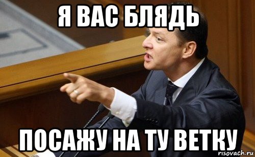 я вас блядь посажу на ту ветку