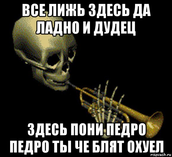 все лижь здесь да ладно и дудец здесь пони педро педро ты че блят охуел, Мем Мистер дудец