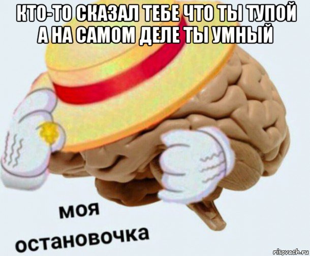 кто-то сказал тебе что ты тупой а на самом деле ты умный , Мем   Моя остановочка мозг