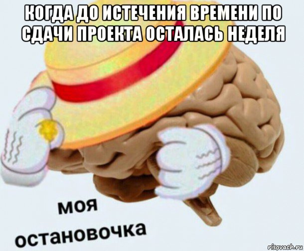 когда до истечения времени по сдачи проекта осталась неделя , Мем   Моя остановочка мозг