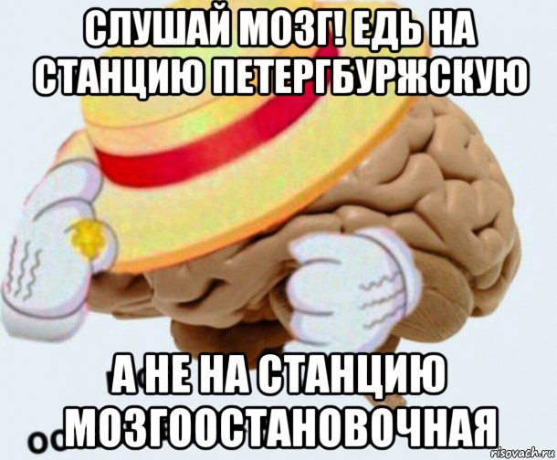 слушай мозг! едь на станцию петергбуржскую а не на станцию мозгоостановочная, Мем   Моя остановочка мозг