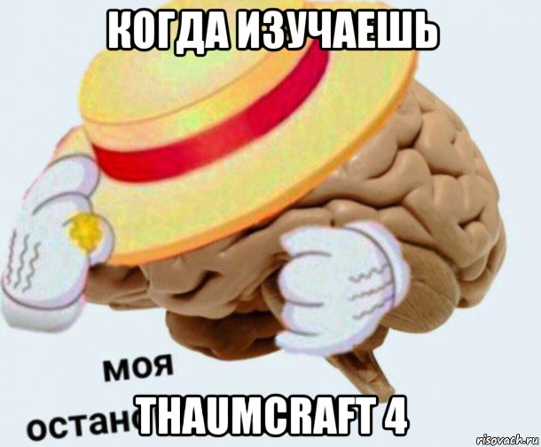 когда изучаешь thaumcraft 4, Мем   Моя остановочка мозг