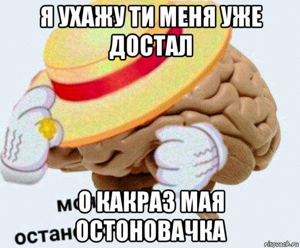 я ухажу ти меня уже достал о какраз мая остоновачка, Мем   Моя остановочка мозг