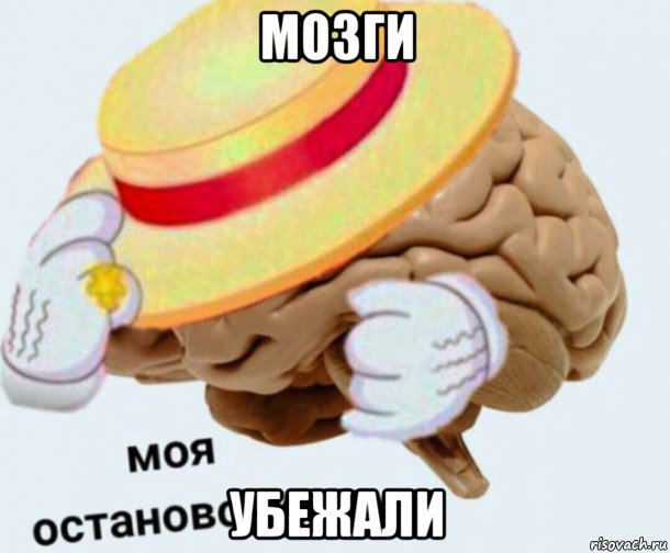 мозги убежали, Мем   Моя остановочка мозг