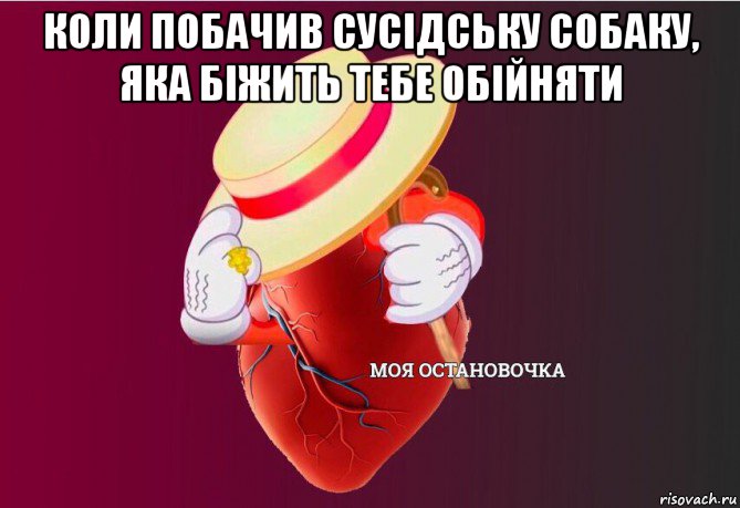 коли побачив сусідську собаку, яка біжить тебе обійняти , Мем   Моя остановочка