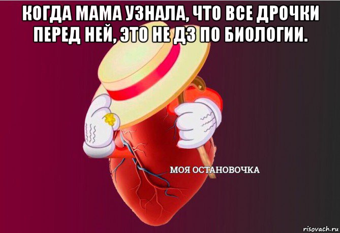 когда мама узнала, что все дрочки перед ней, это не дз по биологии. , Мем   Моя остановочка